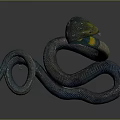 Blue and Yellow Snake with Coiled Body Raised Head and Flicking Tongue on Dark Background