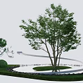 Scenic Garden Landscape with Curved Water Feature Multiple Trees Green Lawn and Stone Border