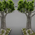 Two Symmetrical Arbor Trees With Textured Trunks Green Foliage And Mossy Bases