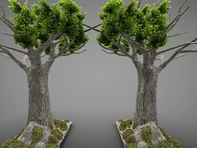 Two Symmetrical Arbor Trees With Textured Trunks Green Foliage And Mossy Bases 3d model