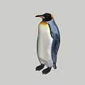 Standing Reptile With Yellow Black And White Coloration Detailed Features