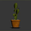 Green Cactus Plant in Orange Pot with Decorative Saucer on Gray Background
