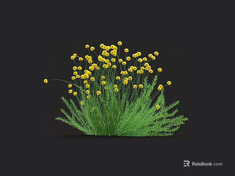 Yellow Flowers With Green Stems And Leaves Growing On Black Background 3d model 