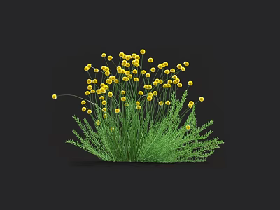 Yellow Flowers With Green Stems And Leaves Growing On Black Background 3d model