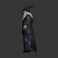 Wizard Character With Long White Beard Pointed Hat Gray Robe And Wooden Staff