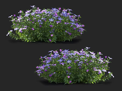 Vibrant Purple And White Flower Bushes With Fresh Green Leaves In Garden 3d model
