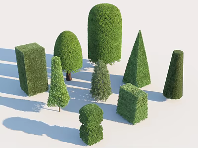 Topiary Shrubs Of Various Shapes For Garden Landscaping And Decoration 3d model