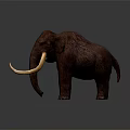 Realistic Brown Mammoth Sculpture With Long Curved Tusks Standing On Dark Surface