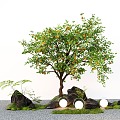 Modern Arbor Orange Tree Lemon Tree Garden Tree Micro Terrain 3d model