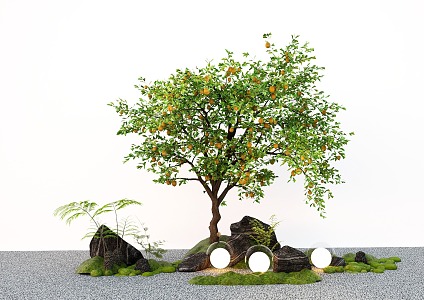 Modern Arbor Orange Tree Lemon Tree Garden Tree Micro Terrain 3d model