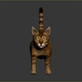 Orange Tabby Cat 3D Model in Walking Pose with Yellow Eyes on Gray Background 3d model