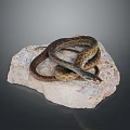 Brown Coiled Snake With Patterned Skin Resting On Gray Rock Surface 3d model
