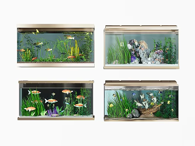 Different Types Of Aquariums With Fish Plants And Decorative Items 3d model