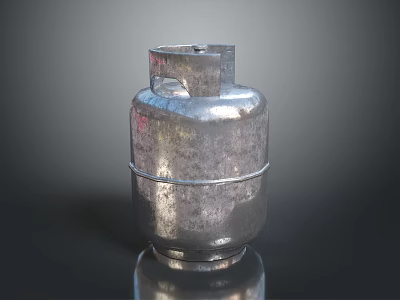 Household LPG Gas Cylinder With Stainless Steel Silver Finish For Home Use 3d model