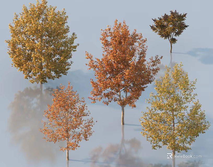 Deciduous Trees Displaying Autumn Foliage with Yellow Orange and Brown Reflections 3d model