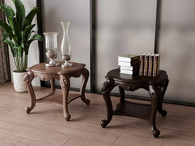 Two Classic Wooden Side Tables With Carved Legs Green Plant Glass Vases And Books 3d model