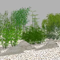 Bamboo And Lush Greenery In Landscape With Rocks And Pebbles
