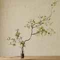 Decorative Green Leaf Branch In Glass Vase For Home Interior Wall Decor
