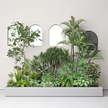 Indoor Green Plants Rectangular Planter with White Wall Arched Windows Palm Trees Ferns and Shrubs