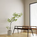 Two Long Wooden Stools In Bright Indoor Area With Green Plant And Window Blinds