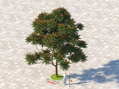 Tall Green Arbor With 150cm Height And Person Standing On Paved Ground 3d model
