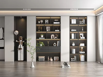 Modern Bookcase Interior Design With Multiple Shelves Displaying Books and Decorative Ornaments 3d model
