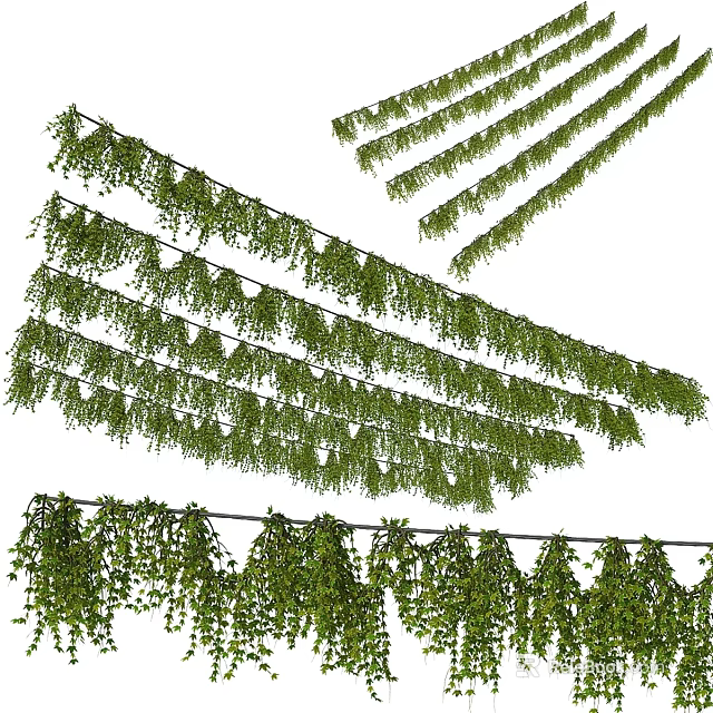 Green Hanging Vines as Garden Decor for Natural Outdoor Decorative Ambiance 3d model 