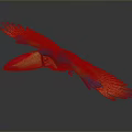 Colorful Toucan Bird With Vibrant Feathers And Spread Wings In Flight