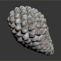 Natural Pine Cone With Pinkish Gray And Blue Bumpy Textured Surface And Scaly Details