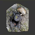 Wooden Stone Decorative Art With Tree Stump Small Sprout And Mossy Stones