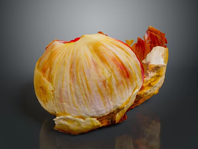 Vibrant Yellow And Red Flower Bloom With Partially Peeled Petals On Gray Background 3d model