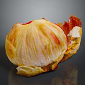 Vibrant Yellow And Red Flower Bloom With Partially Peeled Petals On Gray Background
