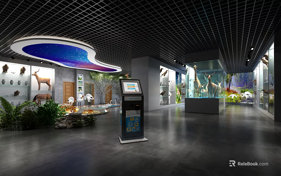 Natural History Exhibition Hall With Animal Specimens Display Cases And Interactive Kiosk 3d model 