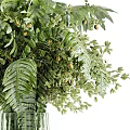 Fresh Green Floral Arrangement In Glass Vase With Fern Leaves And Foliage