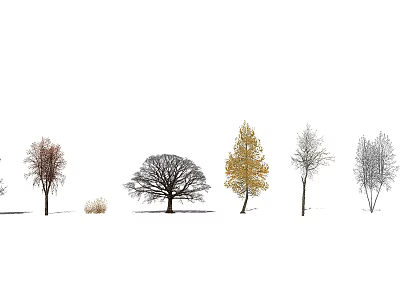 Seasonal Arbor Trees With Bare Branches Golden Foliage And Snowy Twigs 3d model