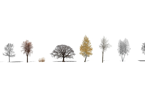 Modern Tree Dead Tree Winter Tree 3d model