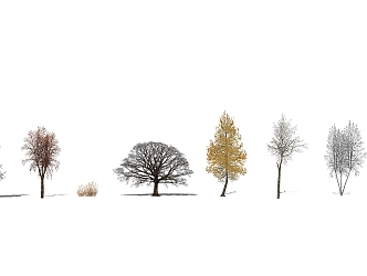 Modern Tree Dead Tree Winter Tree 3d model