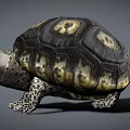 Reptile Tortoise With Black And Yellow Shell Pattern Standing On Gray Background