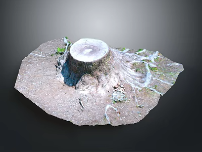 Natural Wooden Stone Tree Stump with Exposed Roots and Small Plants on Soil 3d model