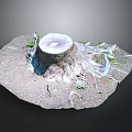 Natural Wooden Stone Tree Stump with Exposed Roots and Small Plants on Soil