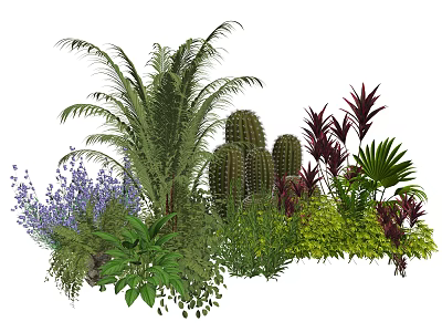 Diverse Plant Combination With Tropical Palms Cacti Purple Flowers And Red Foliage 3d model