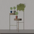 Potted Bonsai Plants on Golden Multi Tiered Shelf with Colorful Pots Light Gray Wooden Floor