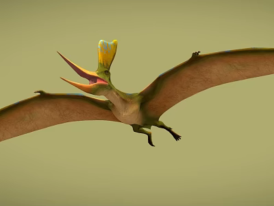 Realistic Flying Pterosaur With Yellow Crest And Extended Wings In Flight 3d model