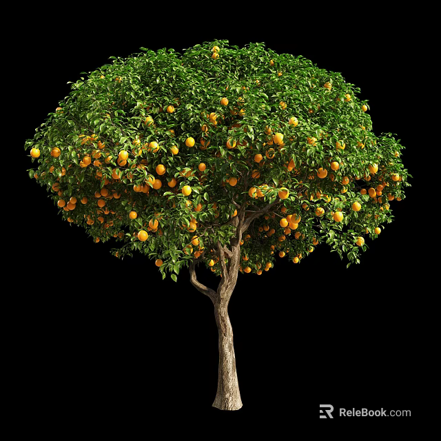 Tall Fruit Bearing Tree With Green Leaves And Ripe Oranges On Branches 3d model 