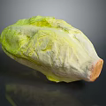 Fresh Whole Green and Yellow Lettuce with Crisp Leaves on Dark Reflective Surface
