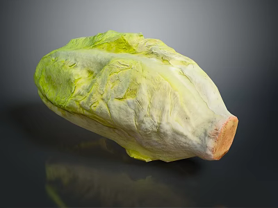 Fresh Whole Green and Yellow Lettuce with Crisp Leaves on Dark Reflective Surface 3d model
