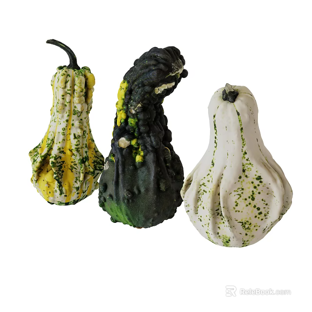 Fresh Decorative Gourds Vegetables With Various Colors Unique Shapes Isolated On White 3d model 