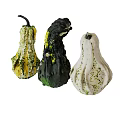 Fresh Decorative Gourds Vegetables With Various Colors Unique Shapes Isolated On White