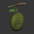 Fresh Durian Fruit With Spiky Green Exterior And Wooden Stem On Dark Background