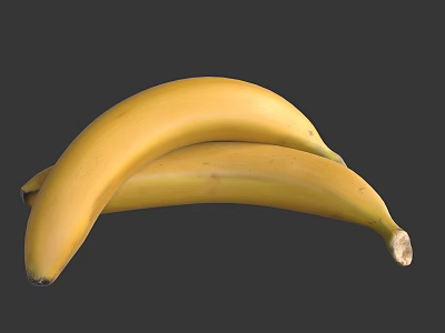 Fresh Ripe Yellow Bananas Two Healthy Tropical Fruit Placed on Gray Background 3d model